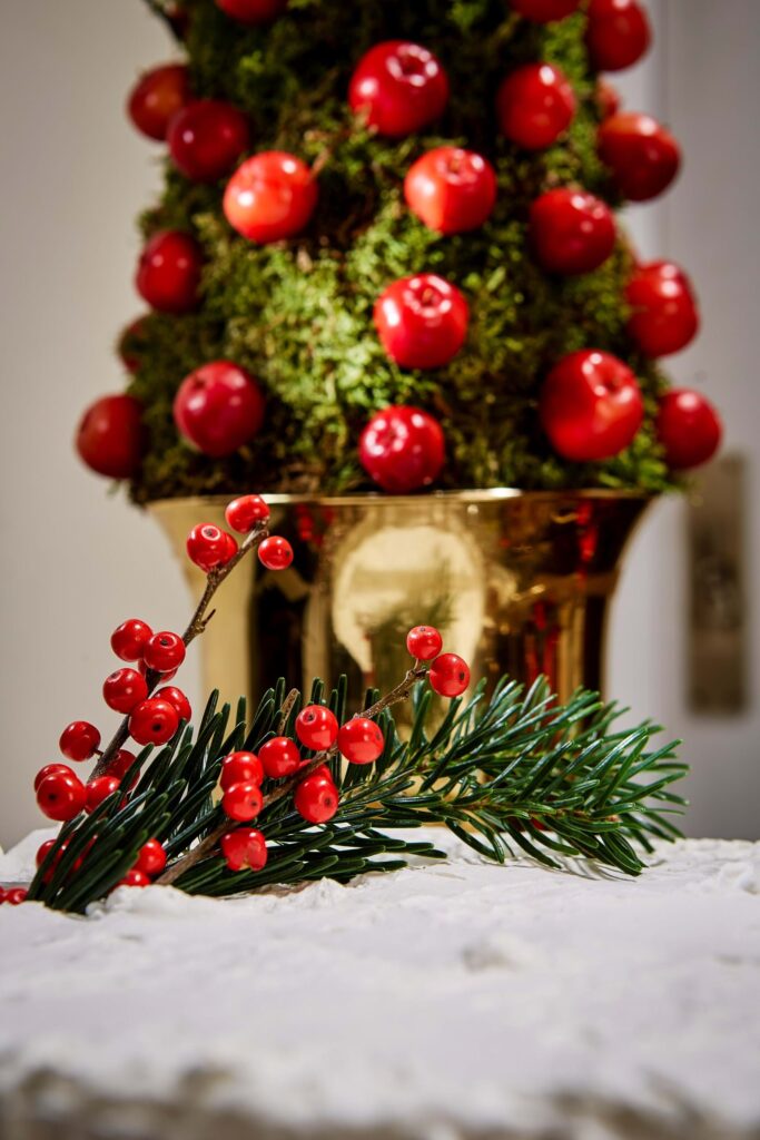 Catering Seasonal Promotion Photo Shoot