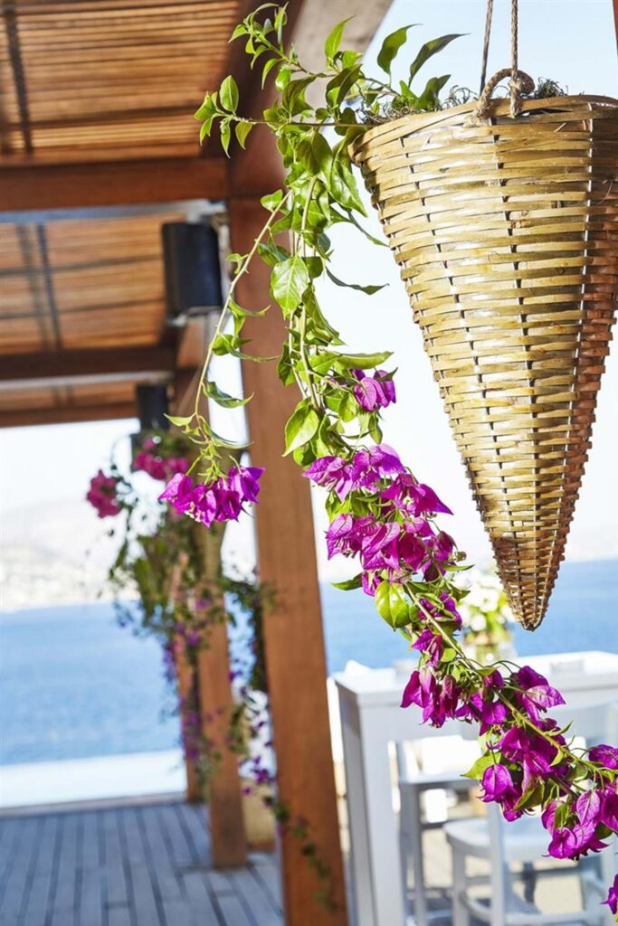 Island Art & Taste Party