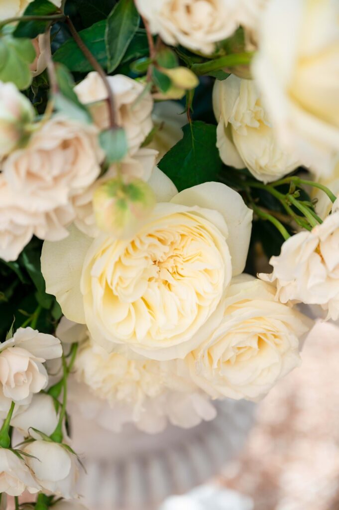 Villa Astor Wedding Elegance