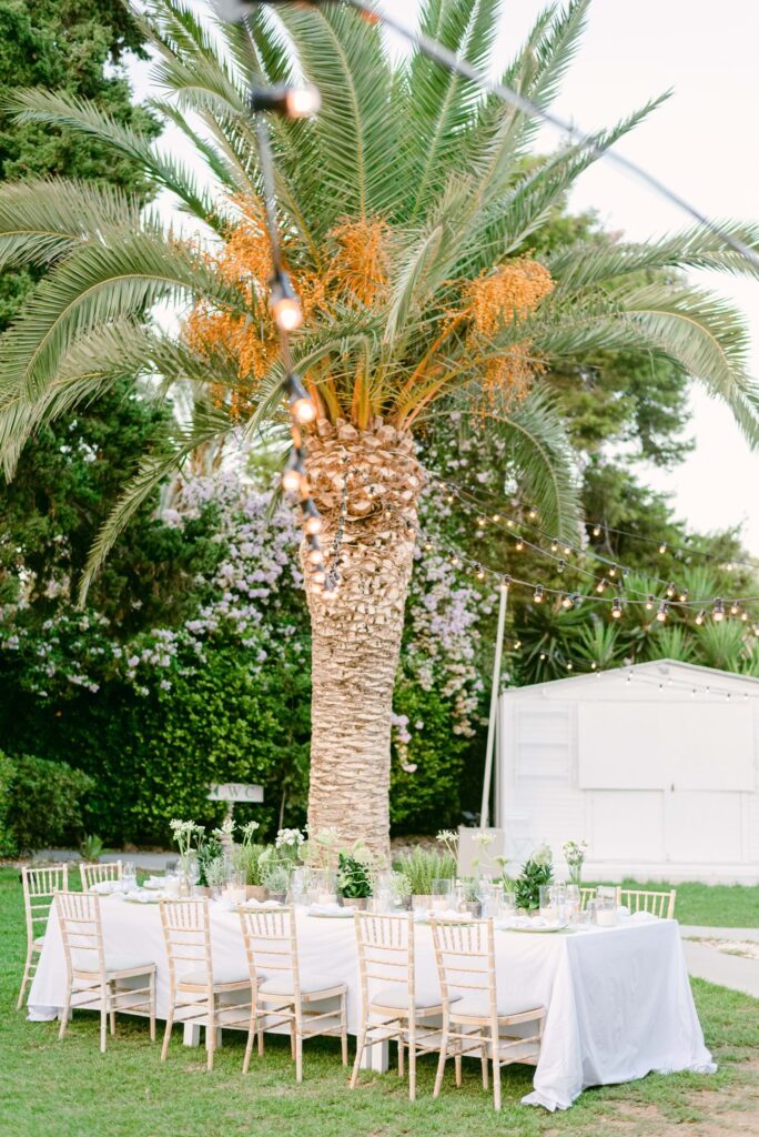 Spetses Traditional Greek Wedding