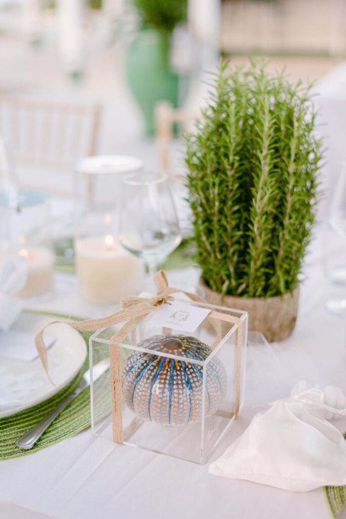 Spetses Traditional Greek Wedding