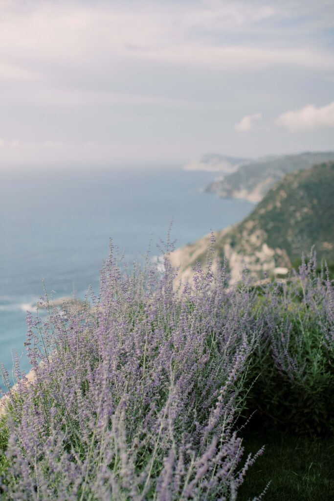 Luxury Micro-Wedding in Kefalonia
