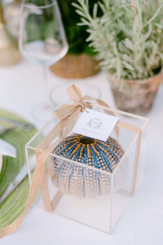 Spetses Traditional Greek Wedding
