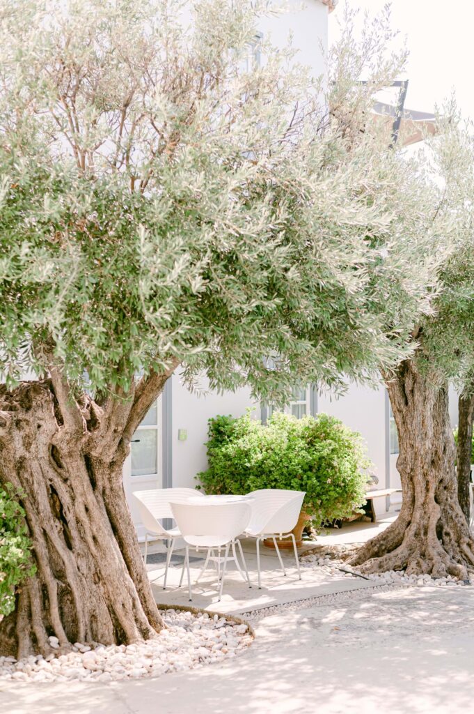 Spetses Traditional Greek Wedding