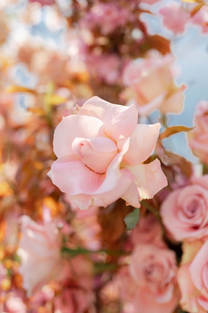 Villa Balbiano Wedding in Pink