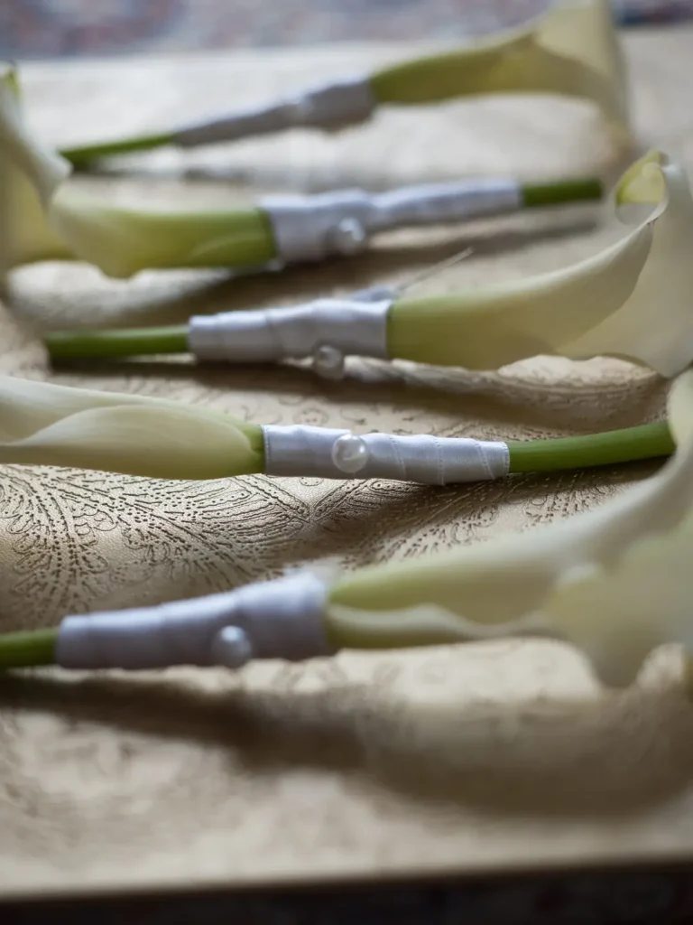 Iranian Wedding (34)