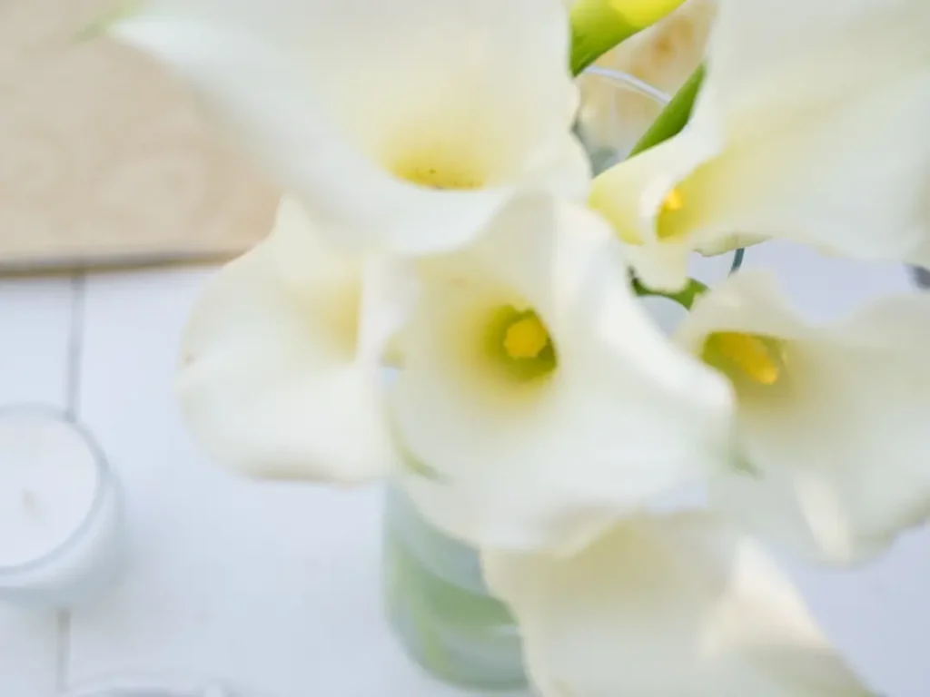 Iranian Wedding (84)