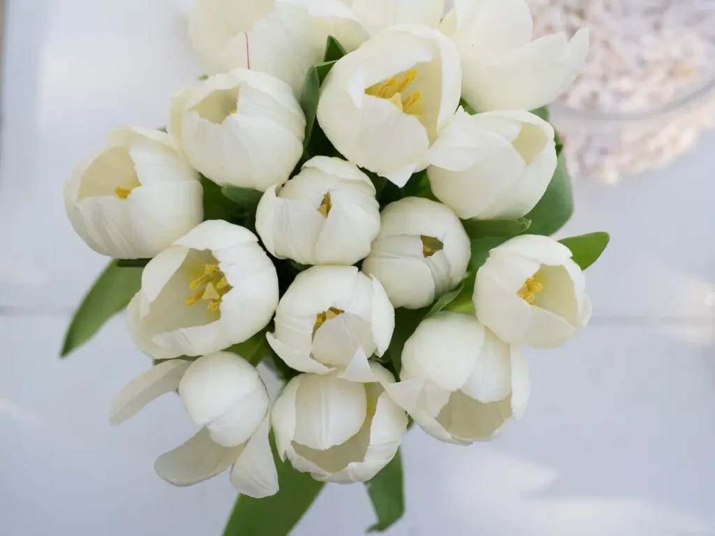 Iranian Wedding (85)