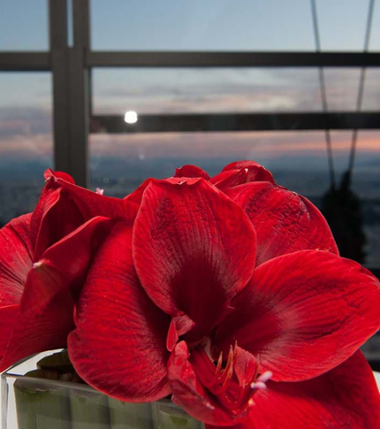 LAW FIRM 40TH ANNIVERSARY EVENT IN ATHENS