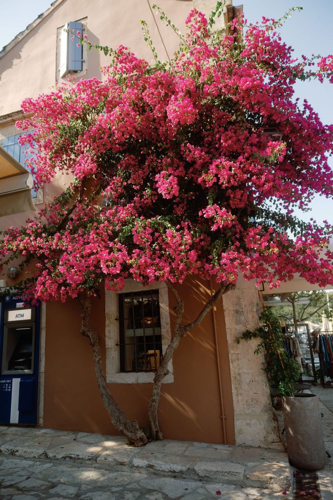 A Romantic Destination Wedding in Kefalonia