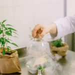 Mitheo Events- Italy Venues-Villa La Massa- Tuscany75