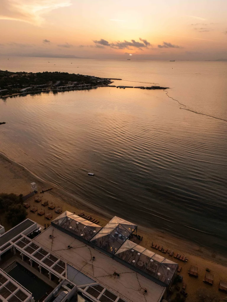 Corporate Experience